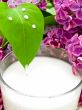 milk and lilac