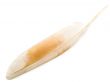 feather