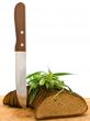 bread grain and knife