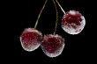 cherries in water closeup