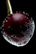 cherries in water macro