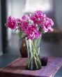 Vase of Peonies