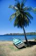 Boat and Palm Tree. Tobago