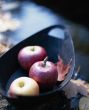 Wooden Bowl with Autumn Apples