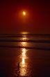 Person On Beach At Sunset