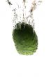 cucumber in water closeup on white