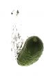 cucumber in water macro on white
