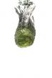 cucumber in water macro