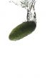 cucumber in water on white