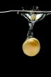 Apricot in water macro