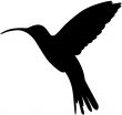 Hummingbird silhouette