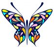 The Butterfly