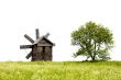 old windmills and a lonely tree