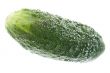 cucumber in water macro