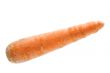 carrot in water