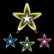 star flower icon black