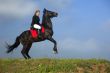 girl trains the horse