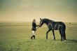 horsewoman trains the horse / split vintage toned