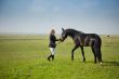 horsewoman trains the horse / summer