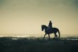 A Rider Silhouette on Horseback / retro style