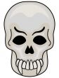 Skull vector