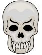 Skull vector