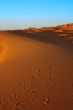 sunset over Sahara desert
