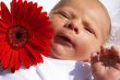 Small newborn baby with a flower