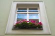 Flowerbox and window