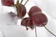 cherry in ice close up
