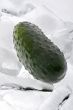 cucumber in the ice
