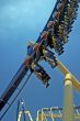 Roller Coaster