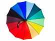 multicolored umbrella