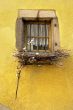 Country window