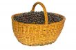 Black currant in a basket