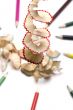 pencil and shaving