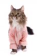 Cat clothed pink bathrobe