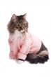Cat clothed pink bathrobe.