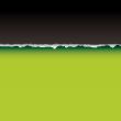 green tear divide