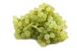 grapes on white background