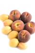 peach and apricot