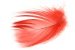 red feather2