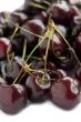 cherries macro