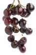 sweet cherries close up