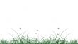 Green grass