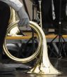 Shiny French Horn
