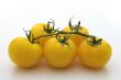 Yellow tomato