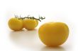 Yellow tomatos and yellow tomato