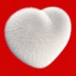 White fur heart
