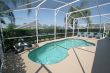Swimming Pool with Whale